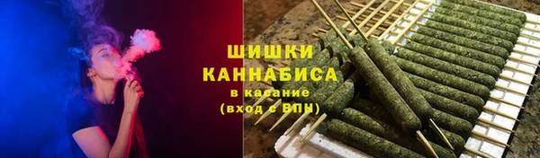 мдпв Верея