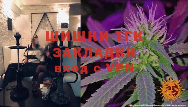 мдпв Верея
