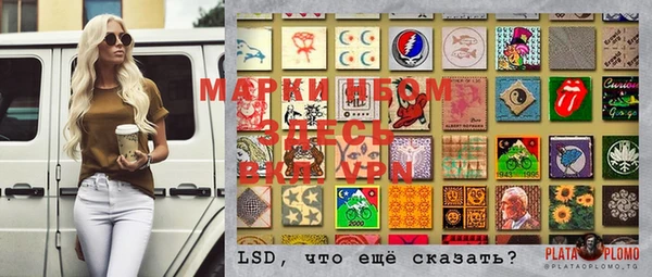 мдпв Верея